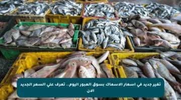 تغير جديد في أسعار الأسماك بسوق العبور اليوم.. تعرف على السعر الجديد الآن